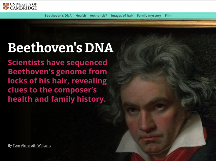 Beethoven's DNA